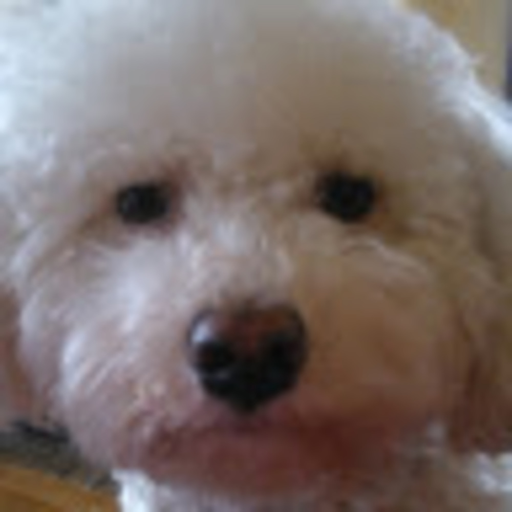 Meet your Posher, Linda